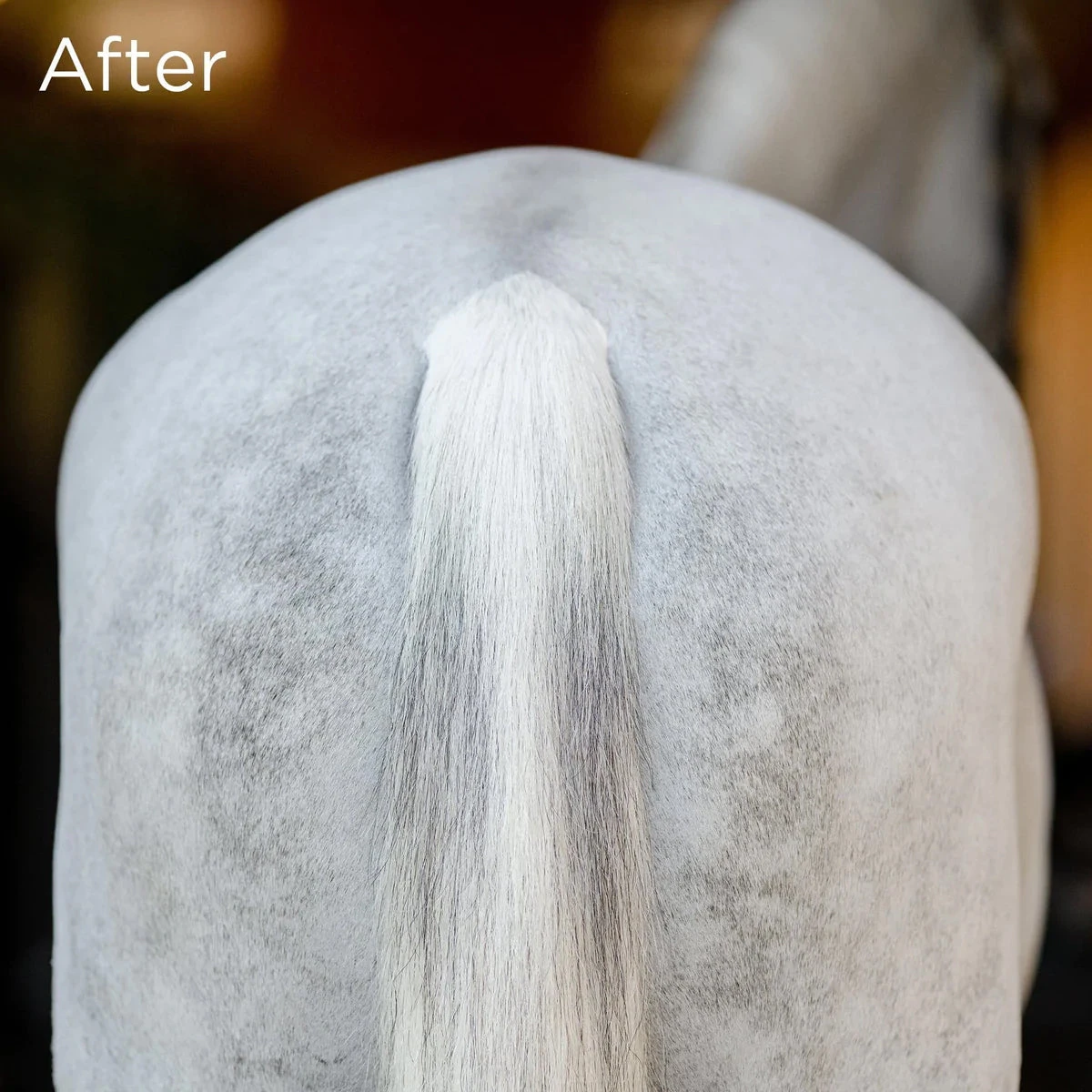 Equifit No Hassle TailWrap 7 Equifit No Hassle TailWrap - Image 5