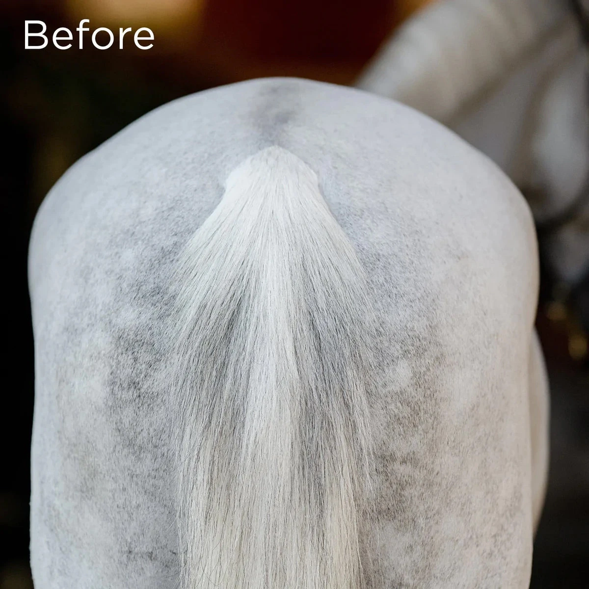 Equifit No Hassle TailWrap 5 Equifit No Hassle TailWrap - Image 3