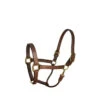 Perri's Leather Stable Halter -Equestrian Gear Shop 137 Perris Leather.Stable.Halter Havana Front