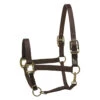 Perri's Economy Safety Halter -Equestrian Gear Shop 150PBL Perris Economy.Safety.Halter Black