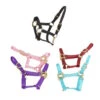 Deluxe Mini Halter -Equestrian Gear Shop 1823 Jacks Mini.Halter Assorted Side