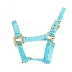 Deluxe Mini Halter -Equestrian Gear Shop 1823 Jacks Mini.Halter LtBlue Side