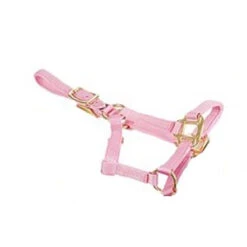 Deluxe Mini Halter -Equestrian Gear Shop 1823 Jacks Mini.Halter Pink Side