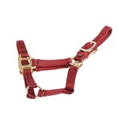 Deluxe Mini Halter -Equestrian Gear Shop 1823 Jacks Mini.Halter Red Side