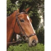 Nunn Finer Original Lever Noseband -Equestrian Gear Shop 280 2T