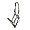Walsh Showman Halter -Equestrian Gear Shop 4700 Walsh Showman.Halter