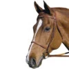 HDR Pro Fancy Raised Bridle With Laced Reins -Equestrian Gear Shop 5004 01 JPC HDR Pro.Fancy .Raised.Bridle.Laced .Reins