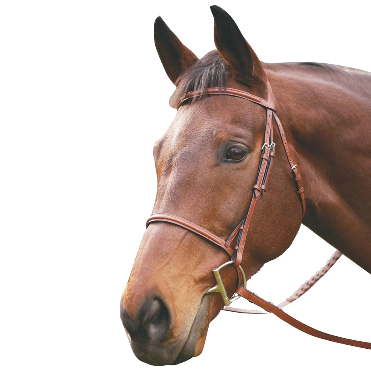 HDR Advantage Plain Raised Snaffle Bridle With Laced Reins 3 HDR Advantage Plain Raised Snaffle Bridle With Laced Reins