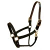 Walsh Breakaway 1" Halter With Straight Chin
