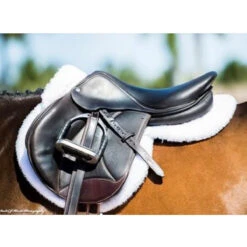 ThinLine Trifecta Half Pad With Sheepskin Rolls -Equestrian Gear Shop 7416 trifecta.half .pad .w.sheepskin.rolls wht on.horse