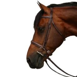 Equiline Scott Stewart Hunter Bridle -Equestrian Gear Shop BJ150 EQline Scott.Stewart.Hunter.Bridle Brown Side