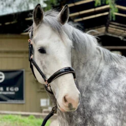 Halter Ego Aurelia Black Patent Conical With Rose Gold Piping Halter