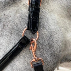 Halter Ego Aurelia Black Patent Conical With Rose Gold Piping Halter -Equestrian Gear Shop Halter.Ego Aurelia.Patent.Conical.with .Piping.Halter Black.RoseGold 3