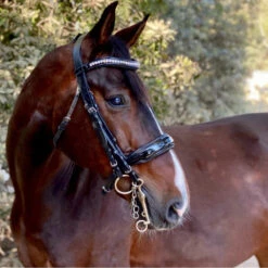 Equestrian Gear Shop -Equestrian Gear Shop Halter.Ego Celebrity.Double.Bridle 2