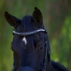 Halter Ego Doc Marten Snaffle Bridle -Equestrian Gear Shop Halter.Ego Doc.Marten.Snaffle.Bridle Black 2