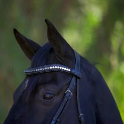 Halter Ego Doc Marten Snaffle Bridle -Equestrian Gear Shop Halter.Ego Doc.Marten.Snaffle.Bridle Black 4