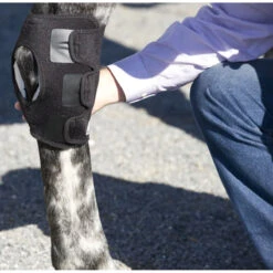 Ice Horse Hock Wrap -Equestrian Gear Shop IH7500V MacKinnon Hock.Wraps2