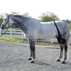 Ice Horse Stifle Wrap 12 Ice Horse Stifle Wrap -Equestrian Gear Shop IHF9000V MacKinnon Hock.Wraps2