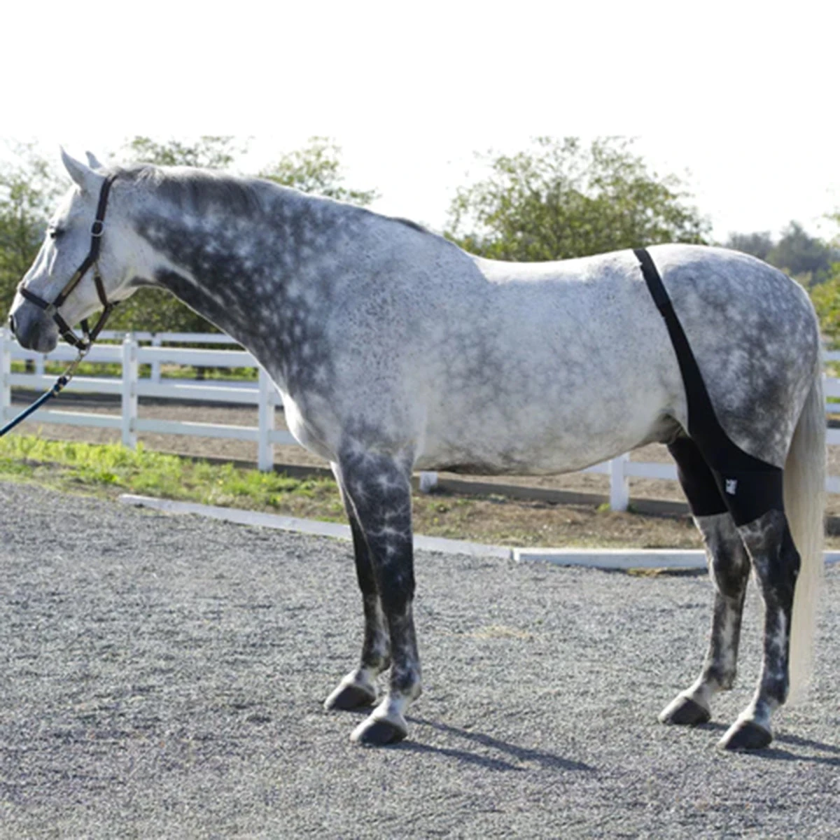 Ice Horse Stifle Wrap 6 Ice Horse Stifle Wrap - Image 4