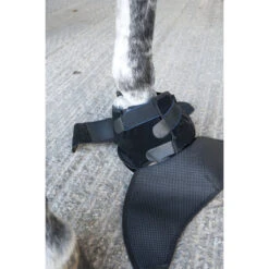 Ice Horse Hoof Ice Boot 20 Ice Horse Hoof Ice Boot -Equestrian Gear Shop Ice Horse Hoof Ice Boot8 10248.1588348476.1280.1280