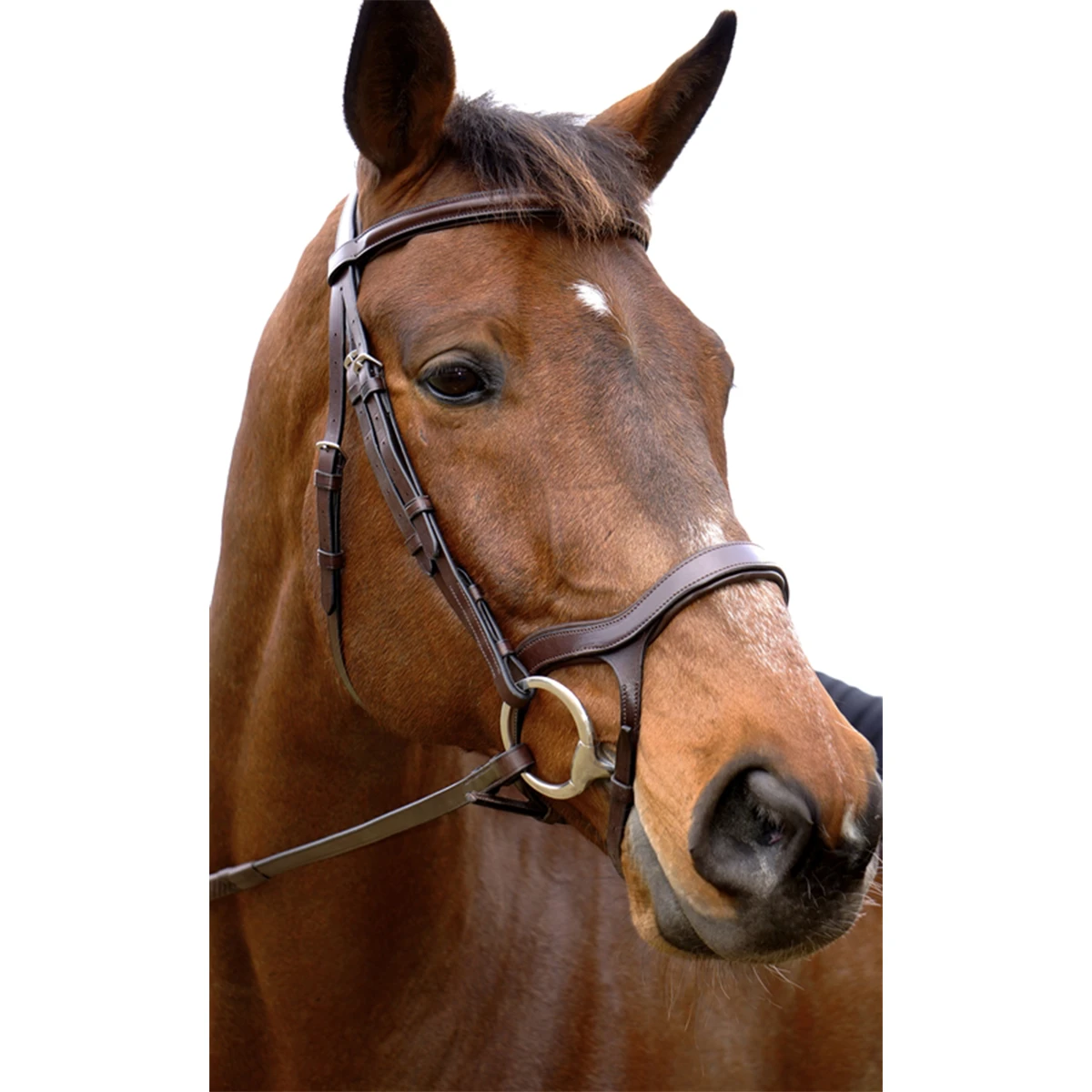 Nunn Finer Innovativo Shaped Bridle 3 Nunn Finer Innovativo Shaped Bridle