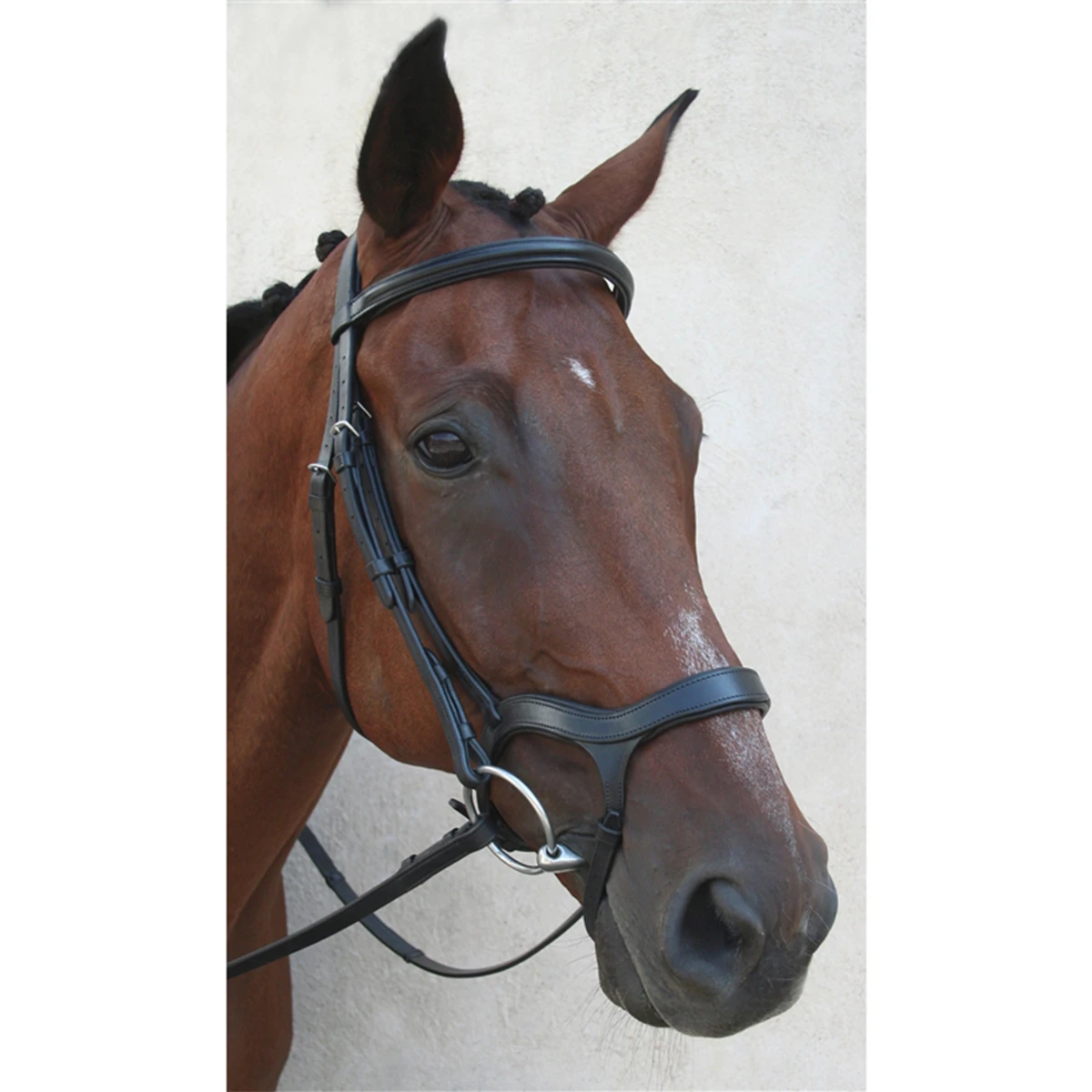 Nunn Finer Innovativo Shaped Bridle 4 Nunn Finer Innovativo Shaped Bridle - Image 2