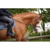 Jump'in Patrick Training Aid -Equestrian Gear Shop JI ENP 1