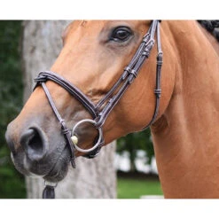 Jump'in Thursday Bridle - Week Collection -Equestrian Gear Shop Jump.In Thursday.Bridle.3