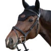 Jump'in Tuesday Bridle - Week Collection 2 Jump'in Tuesday Bridle - Week Collection -Equestrian Gear Shop Jump.In Tuesday.Bridle.2