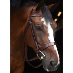 Equestrian Gear Shop -Equestrian Gear Shop KL 1118 FoxtrotHunter