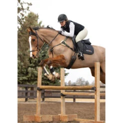 Kerrits Women's 3-Season Tailored Knee Patch Breech -Equestrian Gear Shop Kerrits 40681P Sand IRL