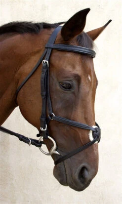 Nunn Finer Fair Hill Figure 8 Bridle -Equestrian Gear Shop NF8EB 6T