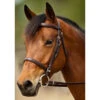 Nunn Finer Event Bridle 2 Nunn Finer Event Bridle -Equestrian Gear Shop NFEB 2T