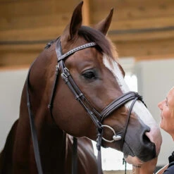 Penelope Daily Bridle 9 Penelope Daily Bridle -Equestrian Gear Shop Pen Daily 1