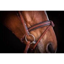 Penelope US Bridle 10 Penelope US Bridle -Equestrian Gear Shop Pen Us 2