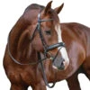Penelope Daily Bridle -Equestrian Gear Shop Penelope Daily.Bridle