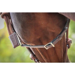 Penelope Ethological Halter 11 Penelope Ethological Halter -Equestrian Gear Shop Penelope Ethological.Halter.5