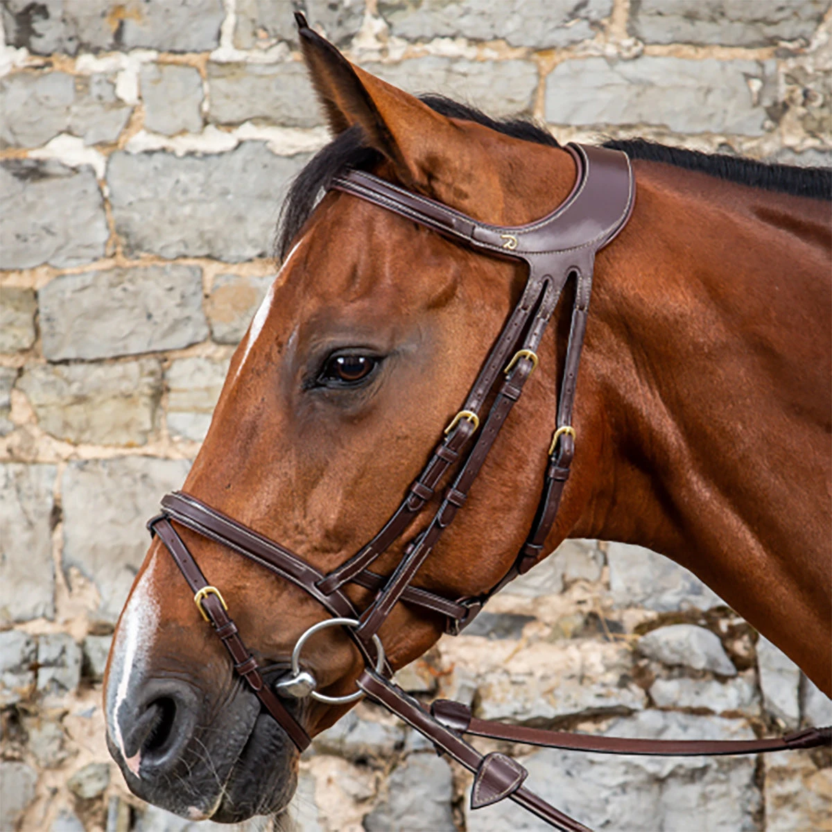 Dyon Difference Flash Bridle - D Collection 3 Dyon Difference Flash Bridle - D Collection