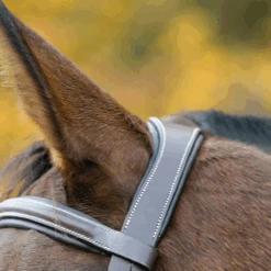 Equestrian Gear Shop -Equestrian Gear Shop Shires 50001 2