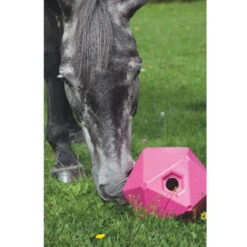 Shires Ball Feeder -Equestrian Gear Shop Shires 9640 Ball.Feeder Pink 59ca4bec 2974 4a72 8b8d 94126b826150