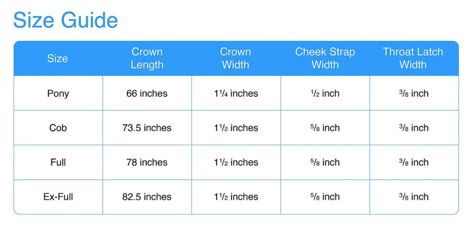 Avignon Ocala Bridle 5 Avignon Ocala Bridle - Image 3