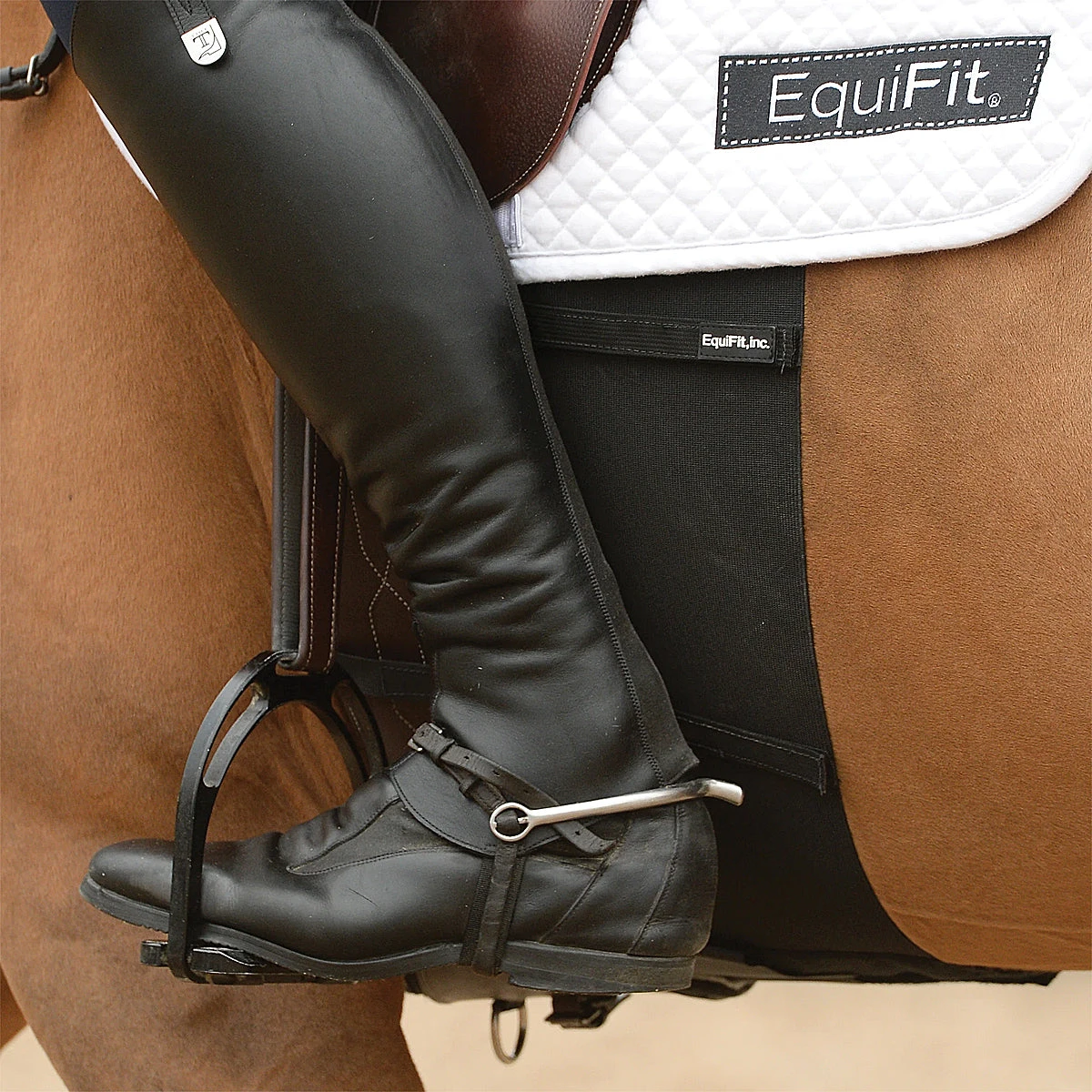 Equifit BellyBand 5 Equifit BellyBand - Image 3