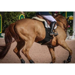 Equifit BellyBand 11 Equifit BellyBand -Equestrian Gear Shop band4 61409.1590075654.1280.1280