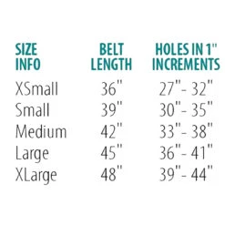 Perri's Padded Leather Belt -Equestrian Gear Shop belt size chart 00294.1588165726.1280.1280