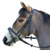 Wintec English Bridle With Flash Noseband -Equestrian Gear Shop black3 94565.1586445749.1280.1280