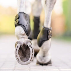 EquiFit Eq-Teq Hind Boot -Equestrian Gear Shop boots2 27406adf dcf7 4644 b134 b0e8f1c65bf4