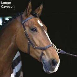 Horseware Rambo Micklem Multibridle -Equestrian Gear Shop bridle16