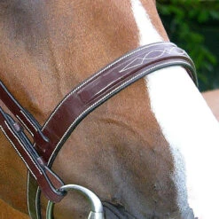 Dy'on Fancy Stitch Wide Noseband Bridle -Equestrian Gear Shop bridle2 1e4663ab 884f 4b7d 80a6 469c5399f8c7