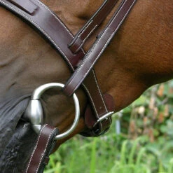 Dy'on Fancy Stitch Wide Noseband Bridle -Equestrian Gear Shop bridle4 5bfb0366 19a2 4a05 ab7e fe08591f5851