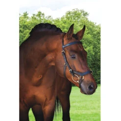 Horseware Rambo Micklem Multibridle -Equestrian Gear Shop bridle4 b0e395ec 9a74 445f be98 f048ad5a2cb8